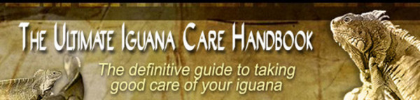Product picture The Ultimate Iguana Care Seminar