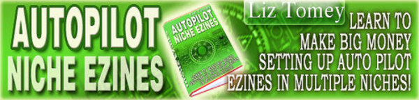 Product picture Autopilot Niche Ezines Ecourse